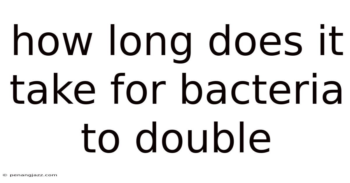 How Long Does It Take For Bacteria To Double