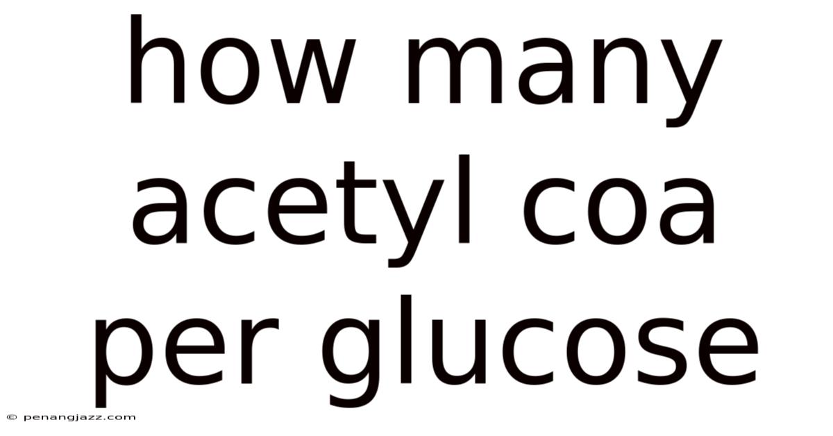 How Many Acetyl Coa Per Glucose