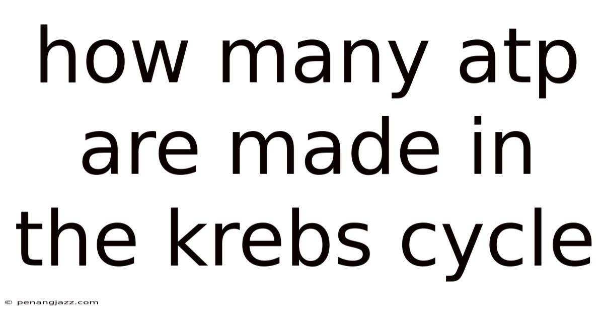 How Many Atp Are Made In The Krebs Cycle