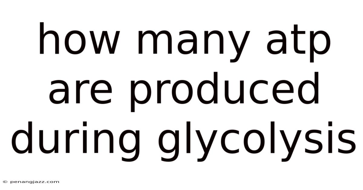How Many Atp Are Produced During Glycolysis