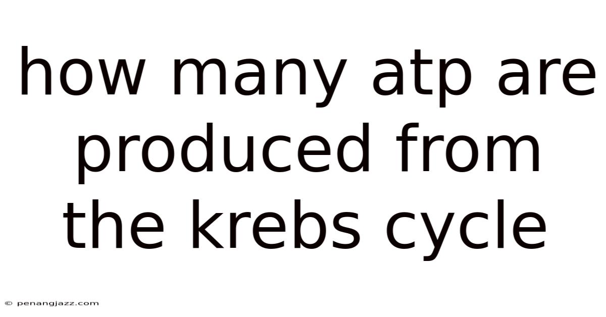 How Many Atp Are Produced From The Krebs Cycle