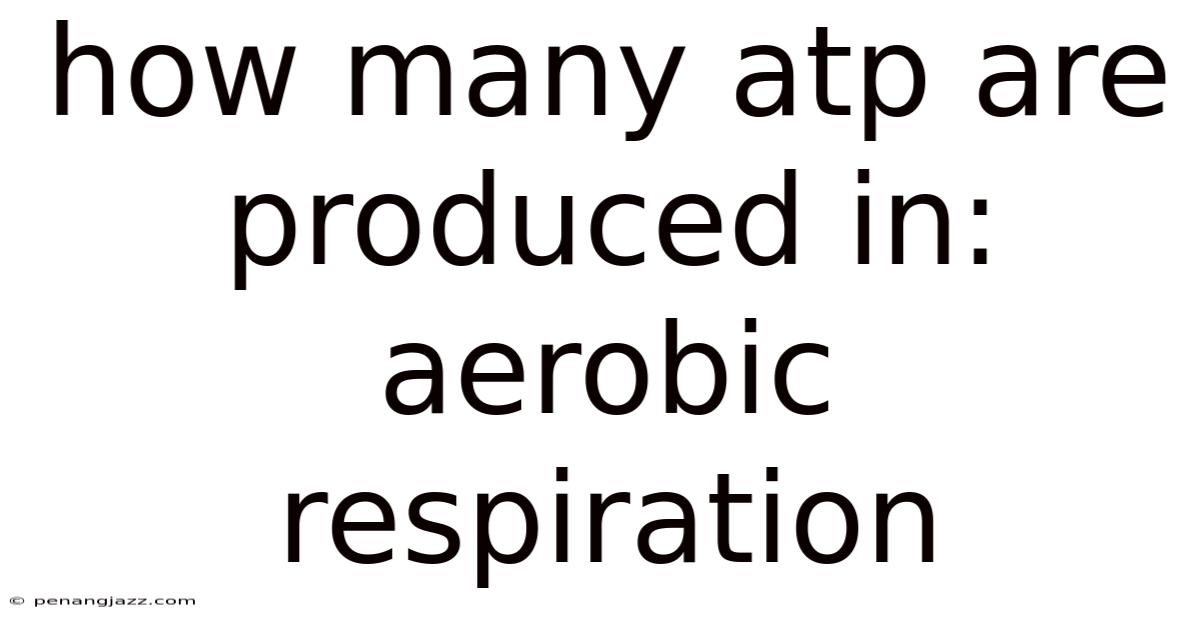 How Many Atp Are Produced In: Aerobic Respiration
