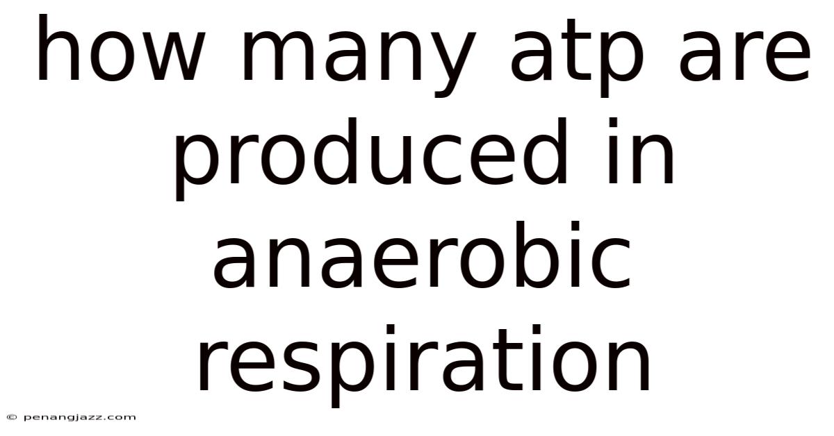 How Many Atp Are Produced In Anaerobic Respiration