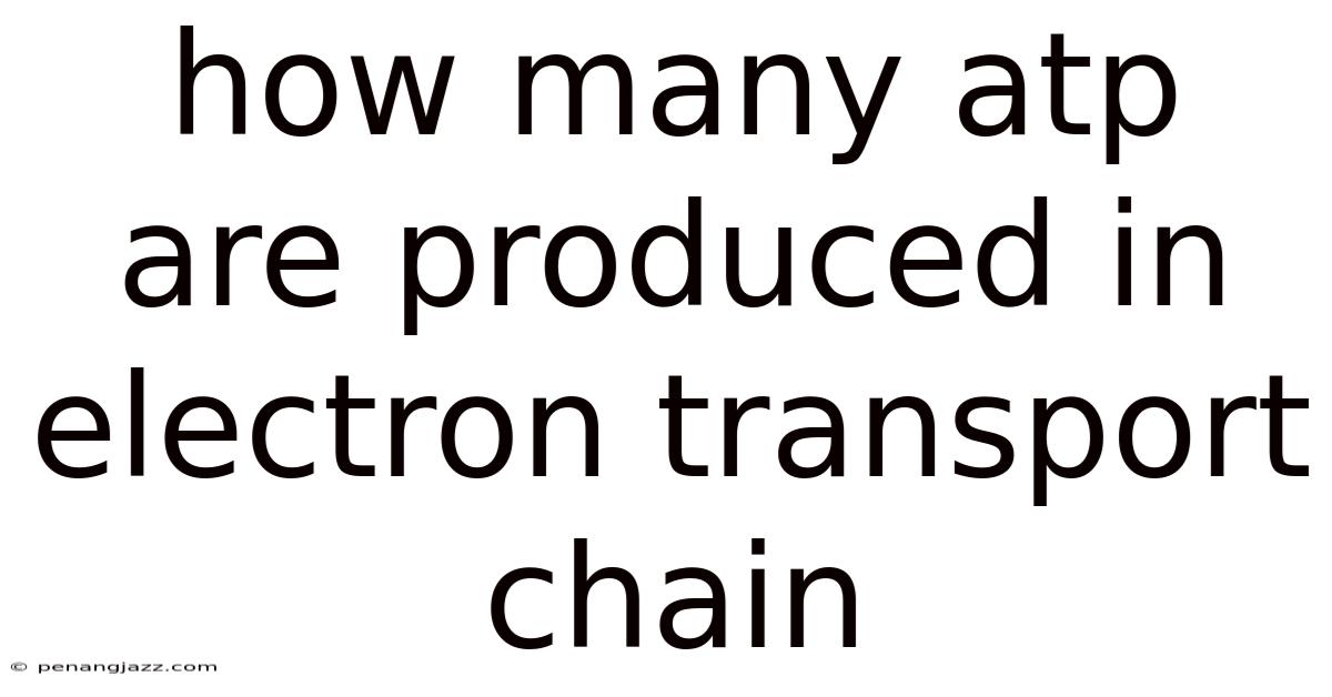 How Many Atp Are Produced In Electron Transport Chain