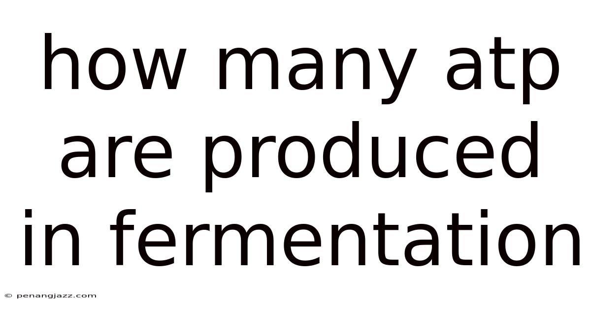 How Many Atp Are Produced In Fermentation