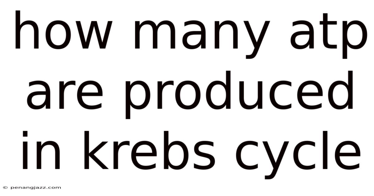 How Many Atp Are Produced In Krebs Cycle