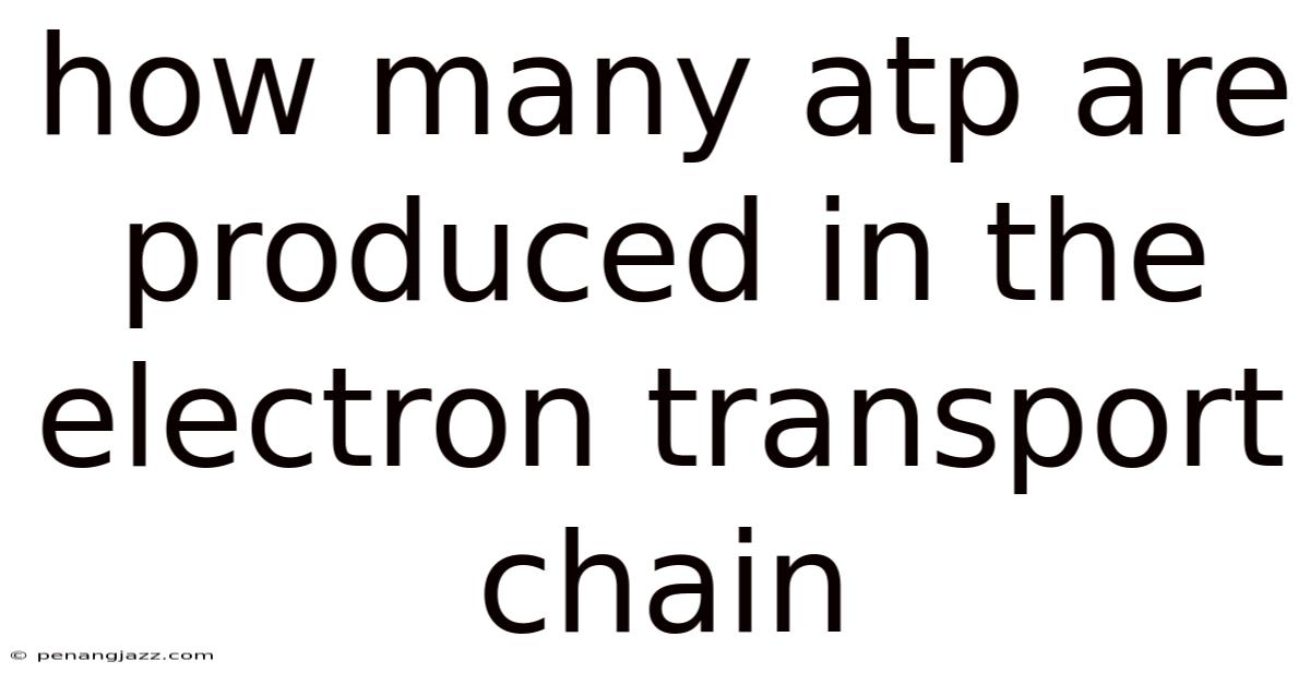 How Many Atp Are Produced In The Electron Transport Chain