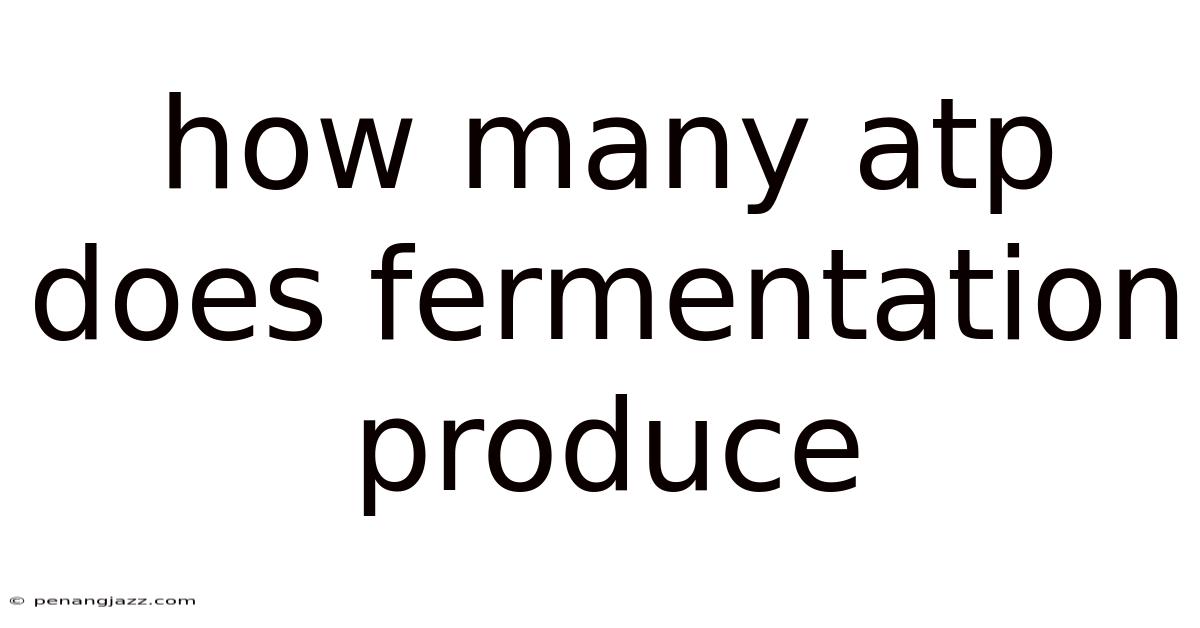 How Many Atp Does Fermentation Produce