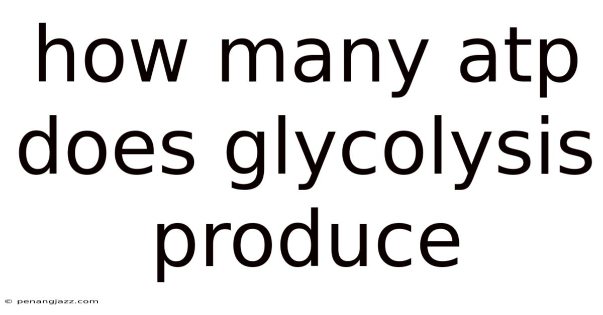 How Many Atp Does Glycolysis Produce