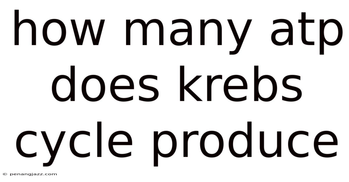 How Many Atp Does Krebs Cycle Produce