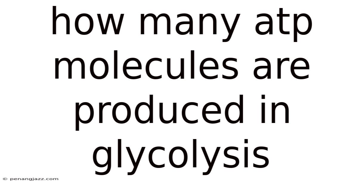 How Many Atp Molecules Are Produced In Glycolysis