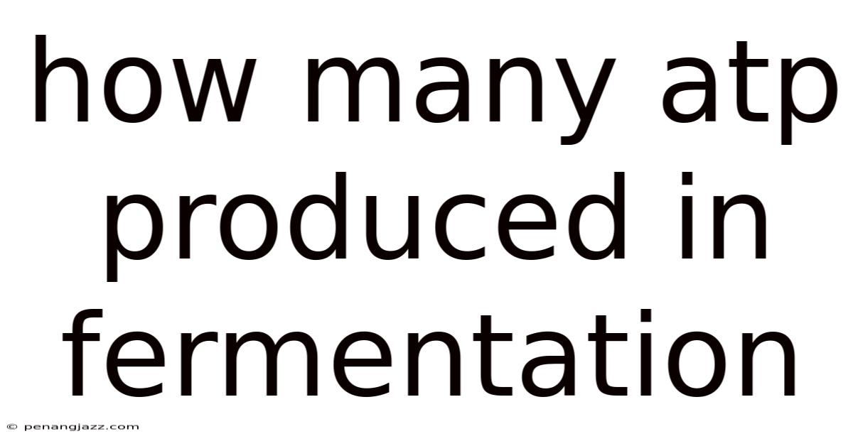 How Many Atp Produced In Fermentation