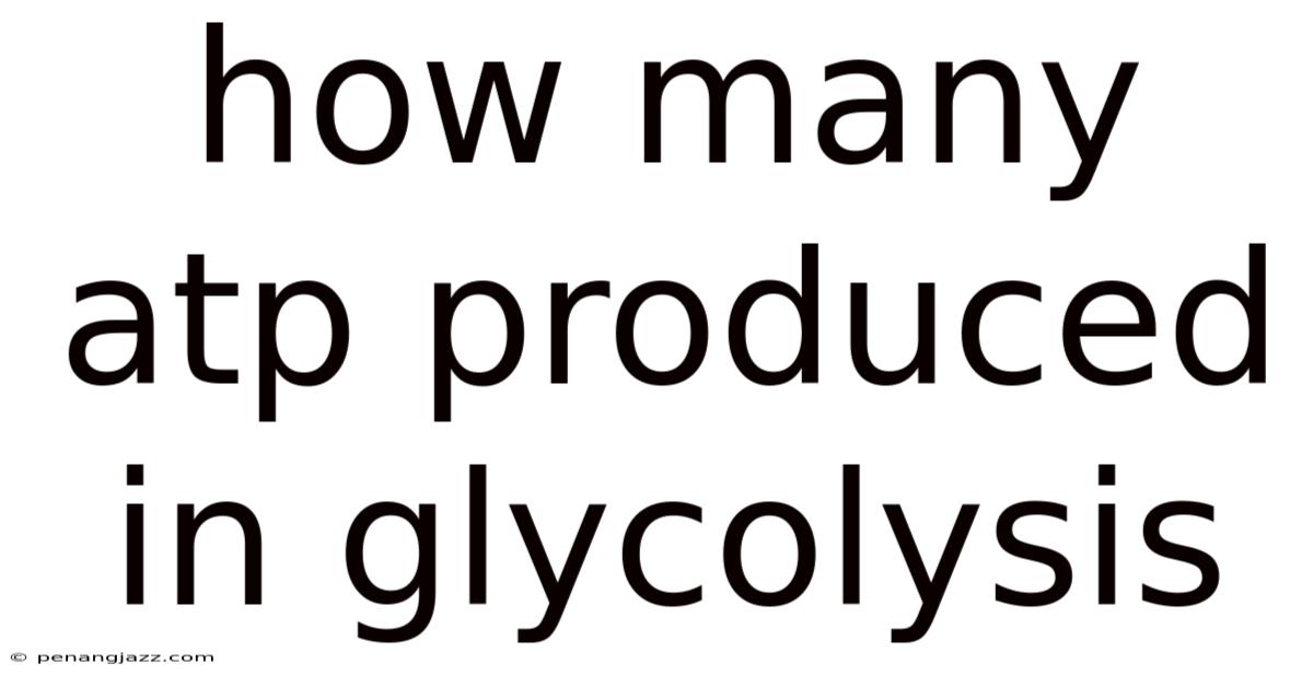 How Many Atp Produced In Glycolysis