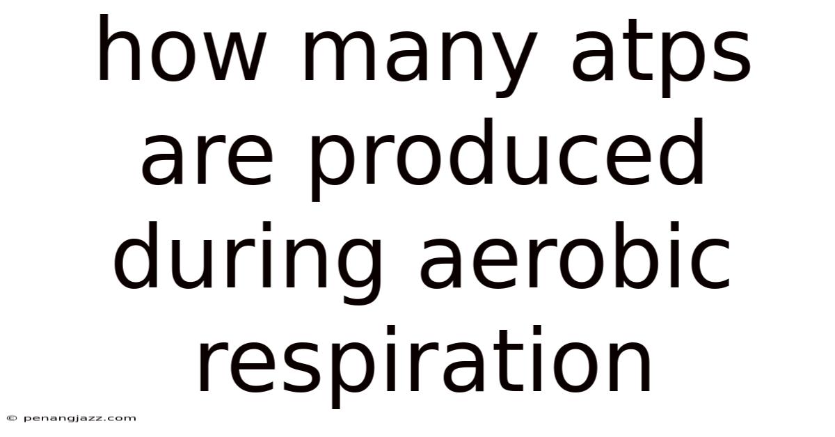 How Many Atps Are Produced During Aerobic Respiration