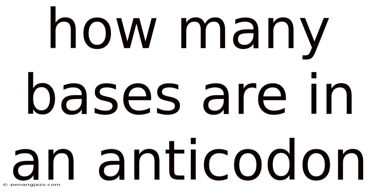 How Many Bases Are In An Anticodon