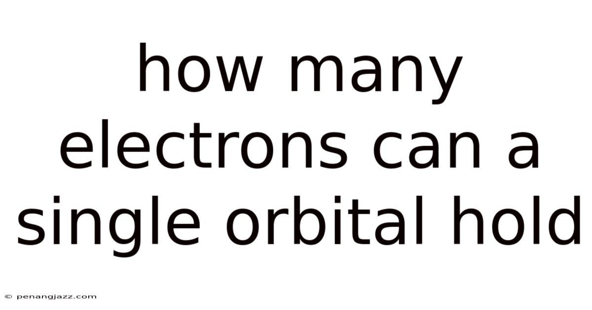 How Many Electrons Can A Single Orbital Hold