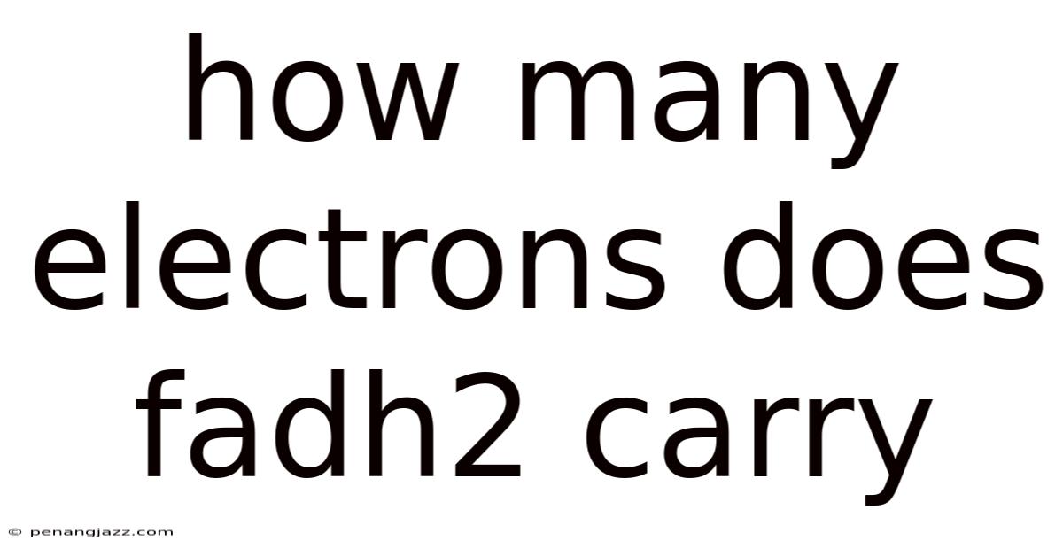 How Many Electrons Does Fadh2 Carry