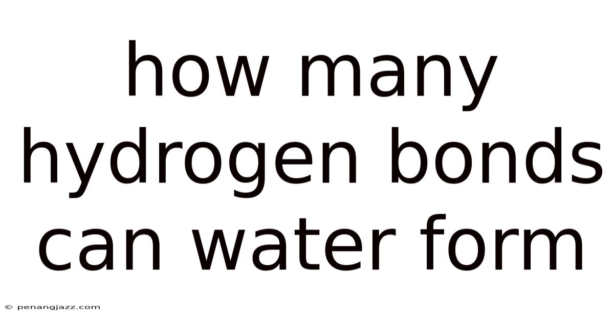How Many Hydrogen Bonds Can Water Form