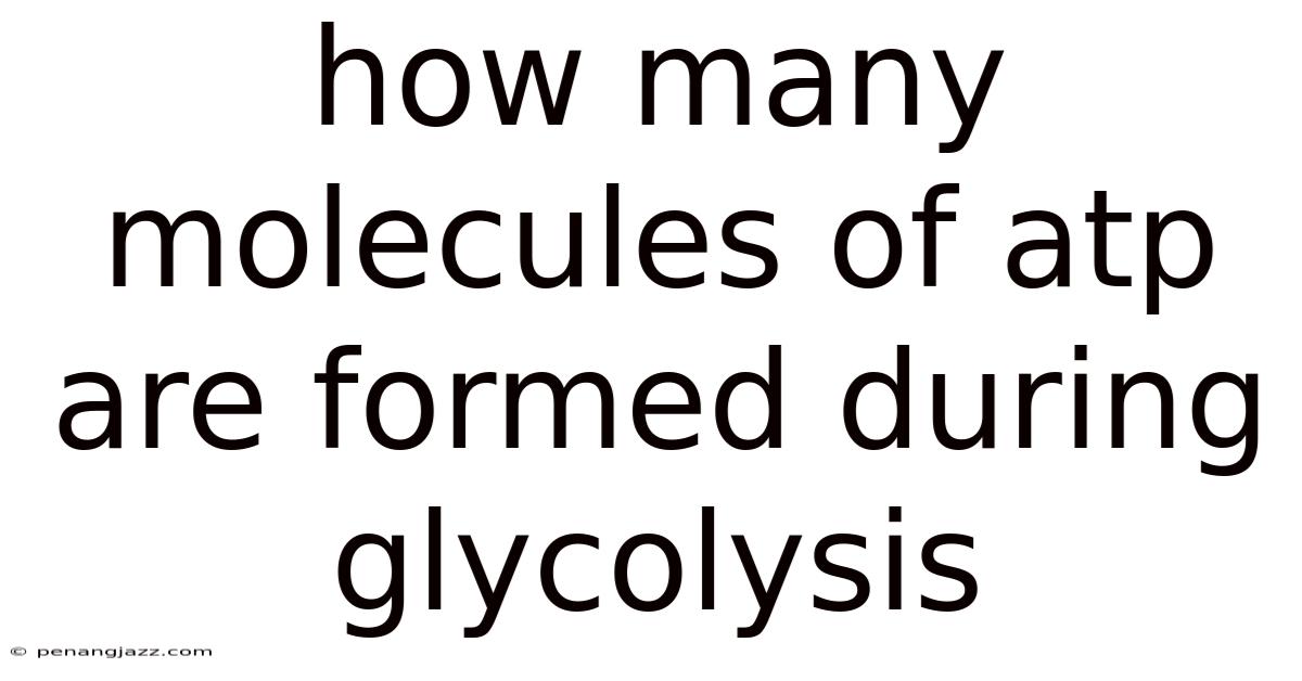 How Many Molecules Of Atp Are Formed During Glycolysis