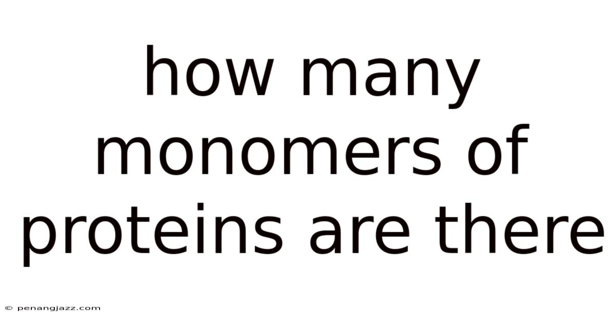 How Many Monomers Of Proteins Are There
