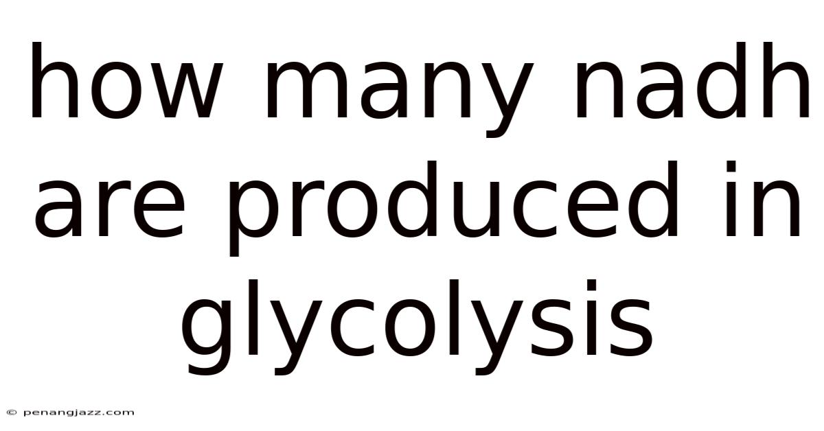 How Many Nadh Are Produced In Glycolysis