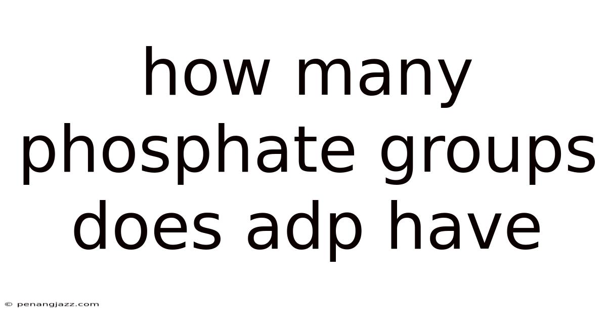 How Many Phosphate Groups Does Adp Have