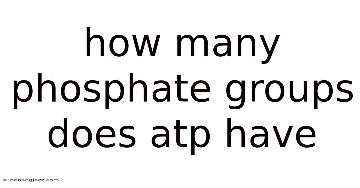 How Many Phosphate Groups Does Atp Have