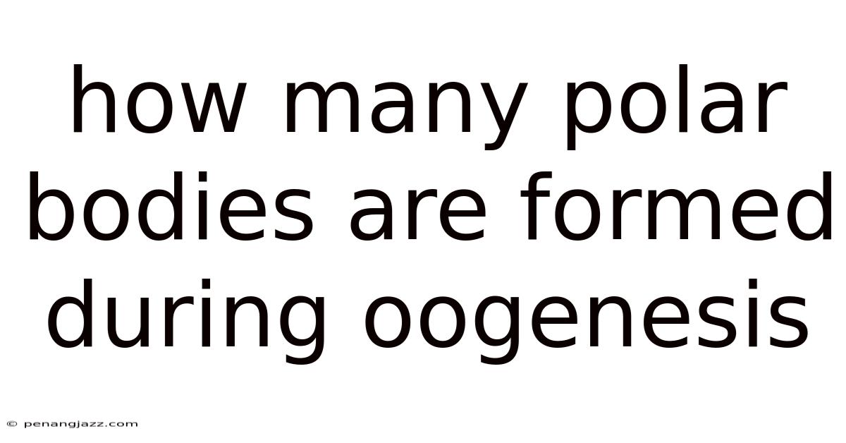 How Many Polar Bodies Are Formed During Oogenesis