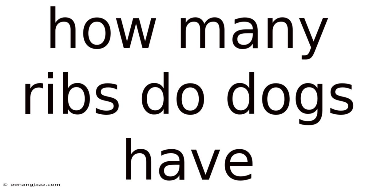 How Many Ribs Do Dogs Have