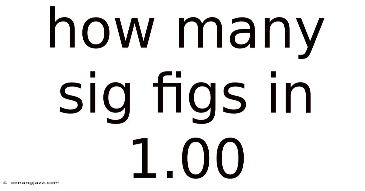 How Many Sig Figs In 1.00