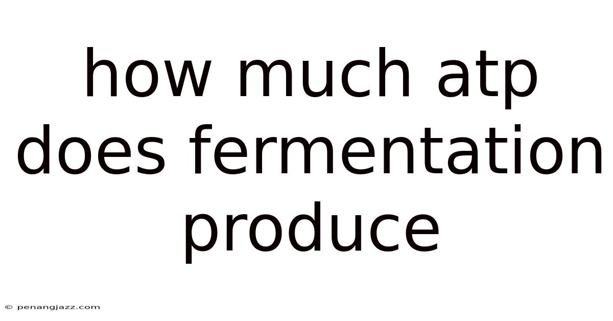 How Much Atp Does Fermentation Produce