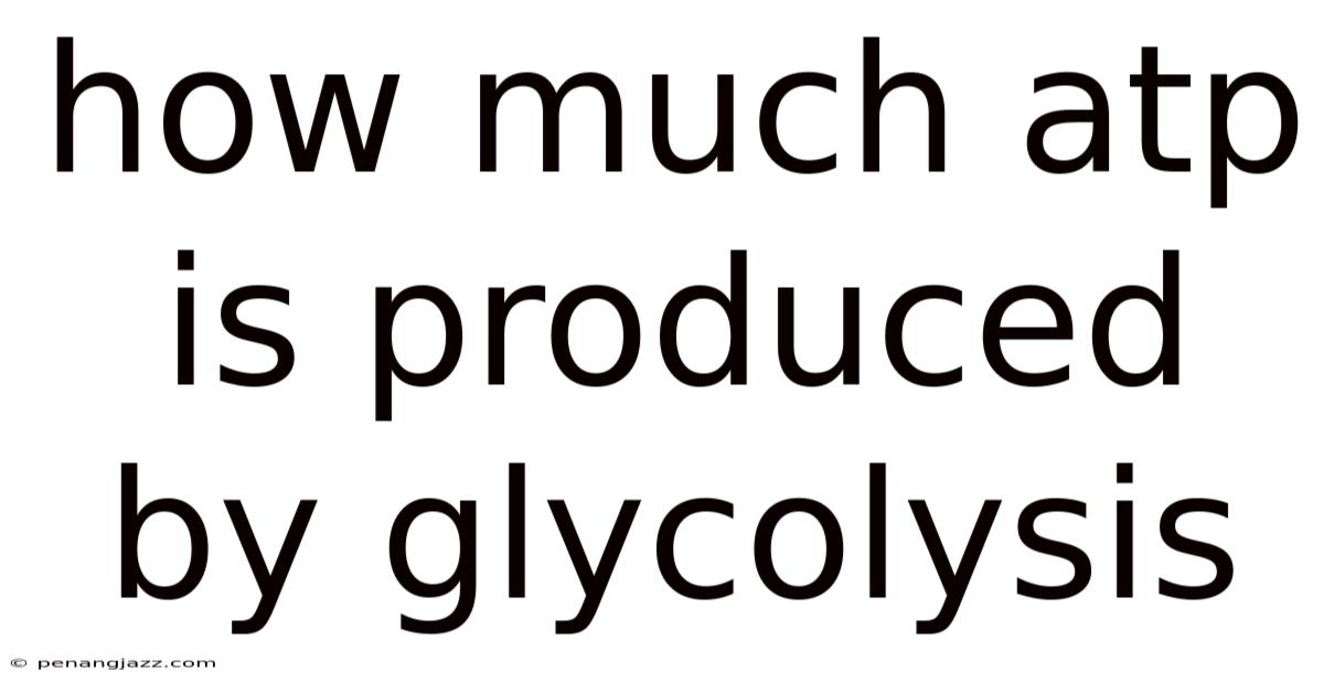 How Much Atp Is Produced By Glycolysis