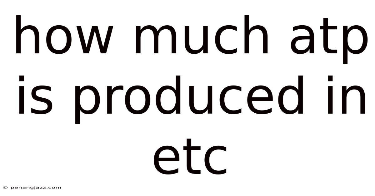 How Much Atp Is Produced In Etc