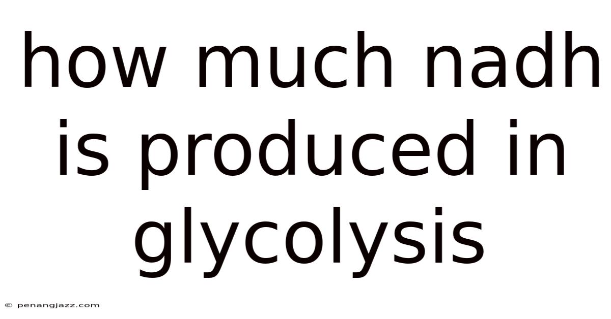 How Much Nadh Is Produced In Glycolysis