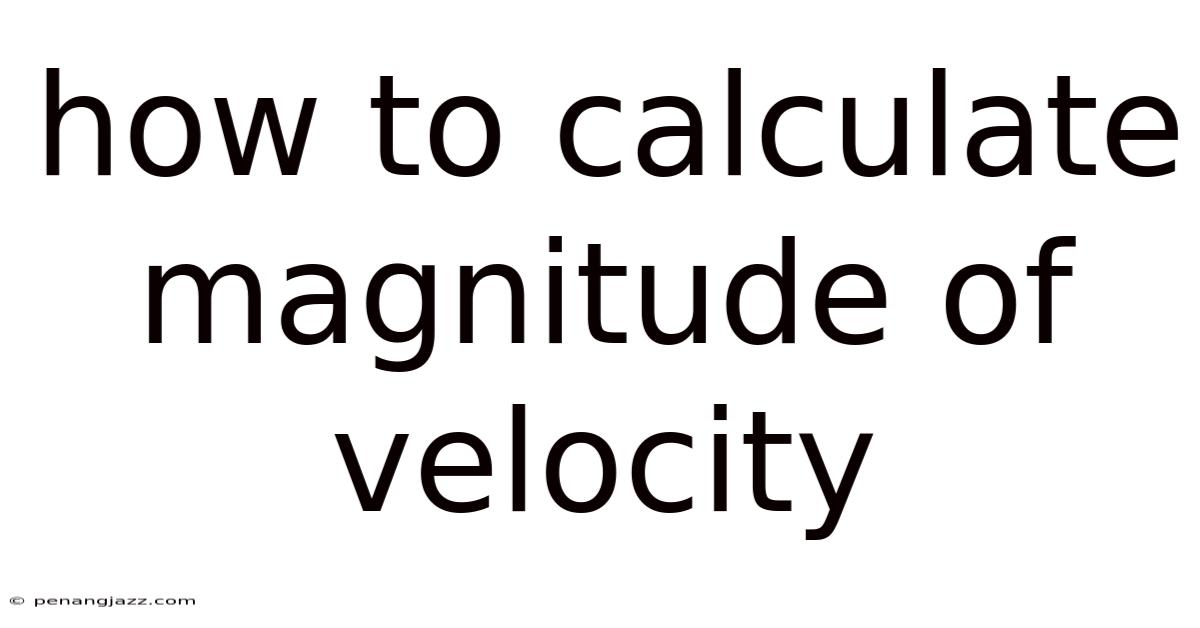 How To Calculate Magnitude Of Velocity