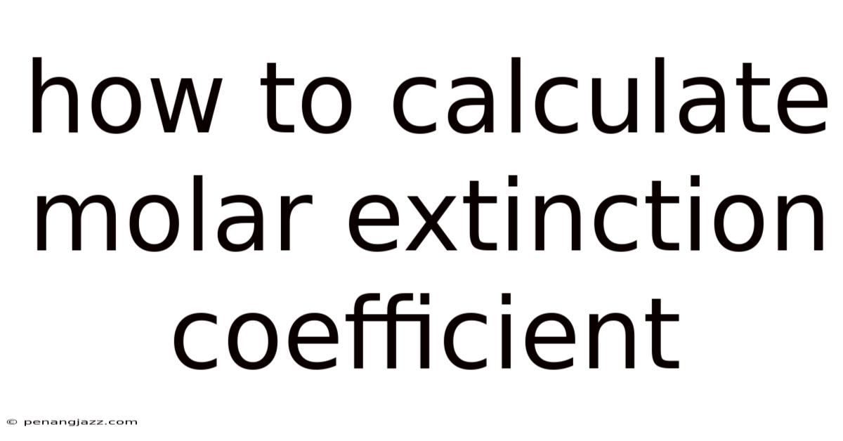 How To Calculate Molar Extinction Coefficient
