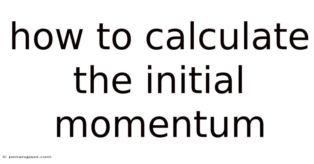 How To Calculate The Initial Momentum