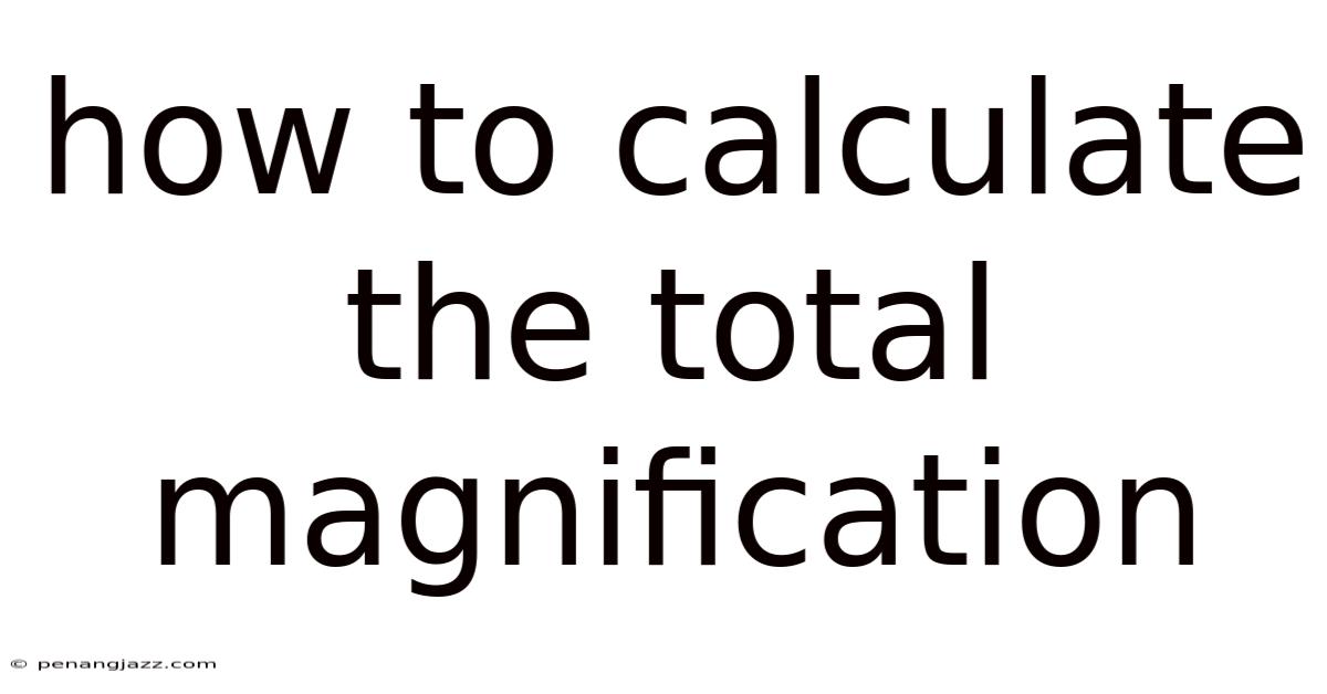 How To Calculate The Total Magnification