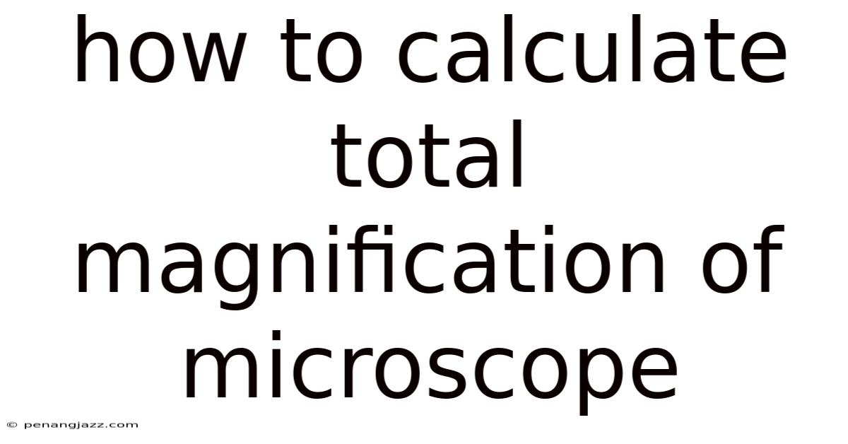 How To Calculate Total Magnification Of Microscope