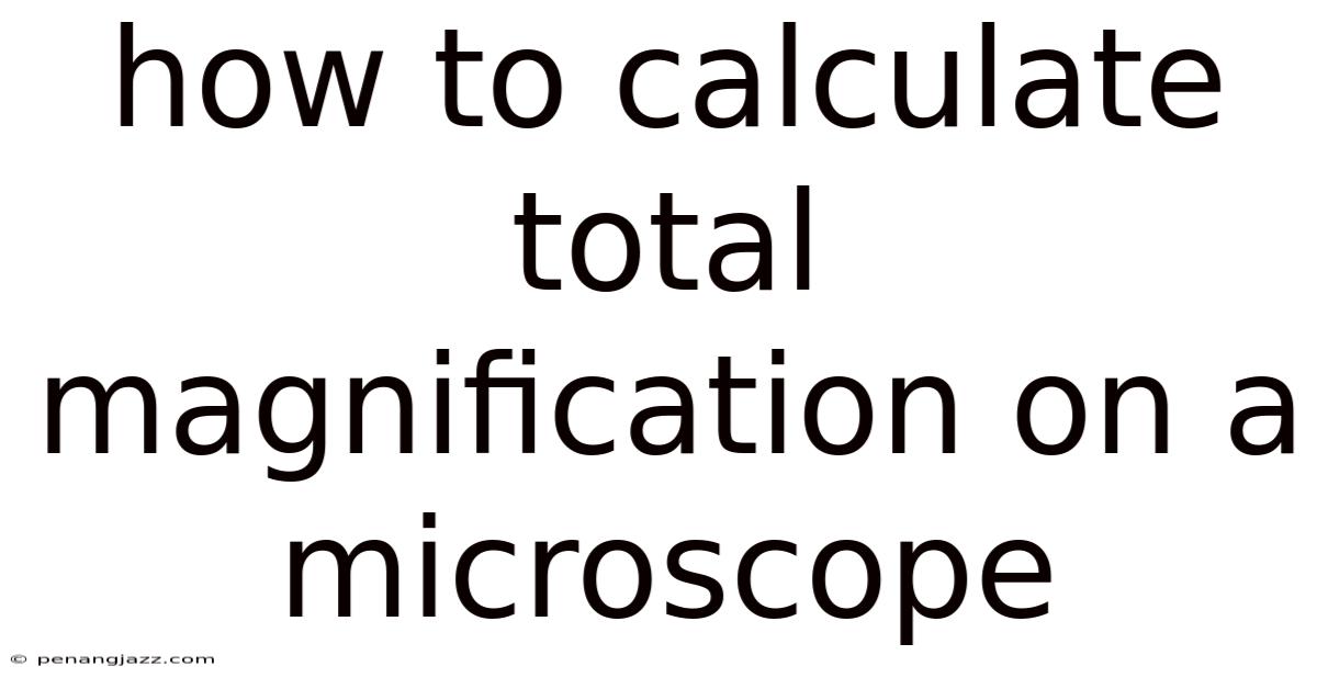 How To Calculate Total Magnification On A Microscope