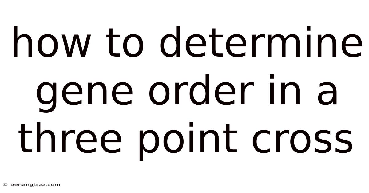 How To Determine Gene Order In A Three Point Cross