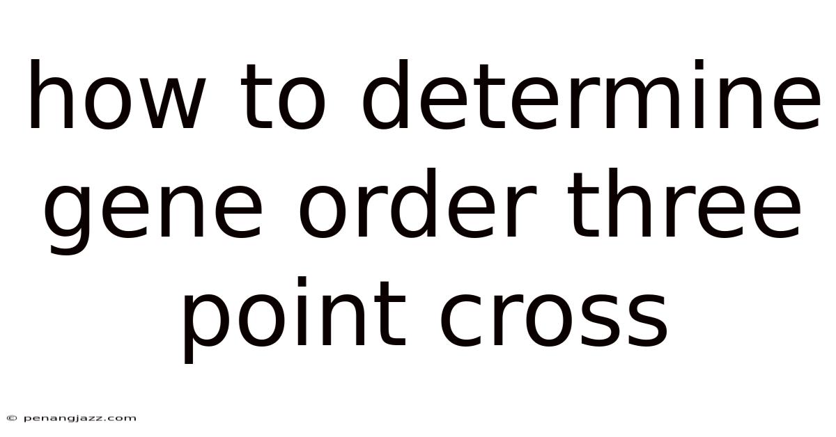 How To Determine Gene Order Three Point Cross
