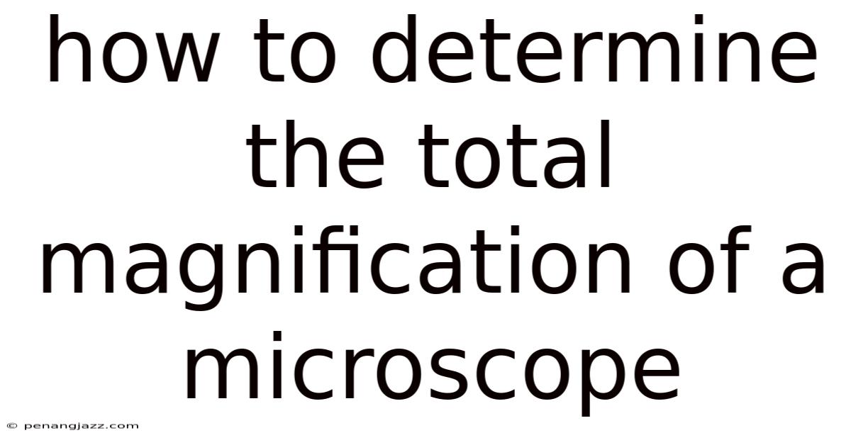 How To Determine The Total Magnification Of A Microscope
