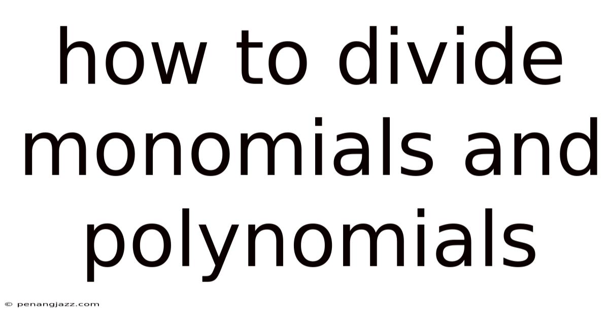 How To Divide Monomials And Polynomials