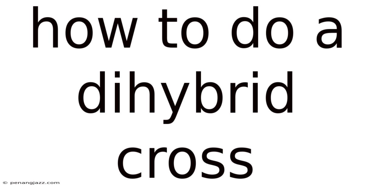 How To Do A Dihybrid Cross