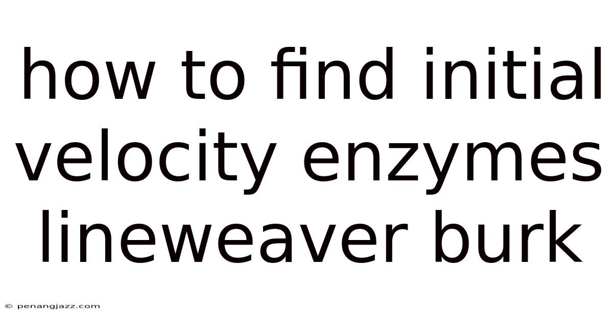 How To Find Initial Velocity Enzymes Lineweaver Burk