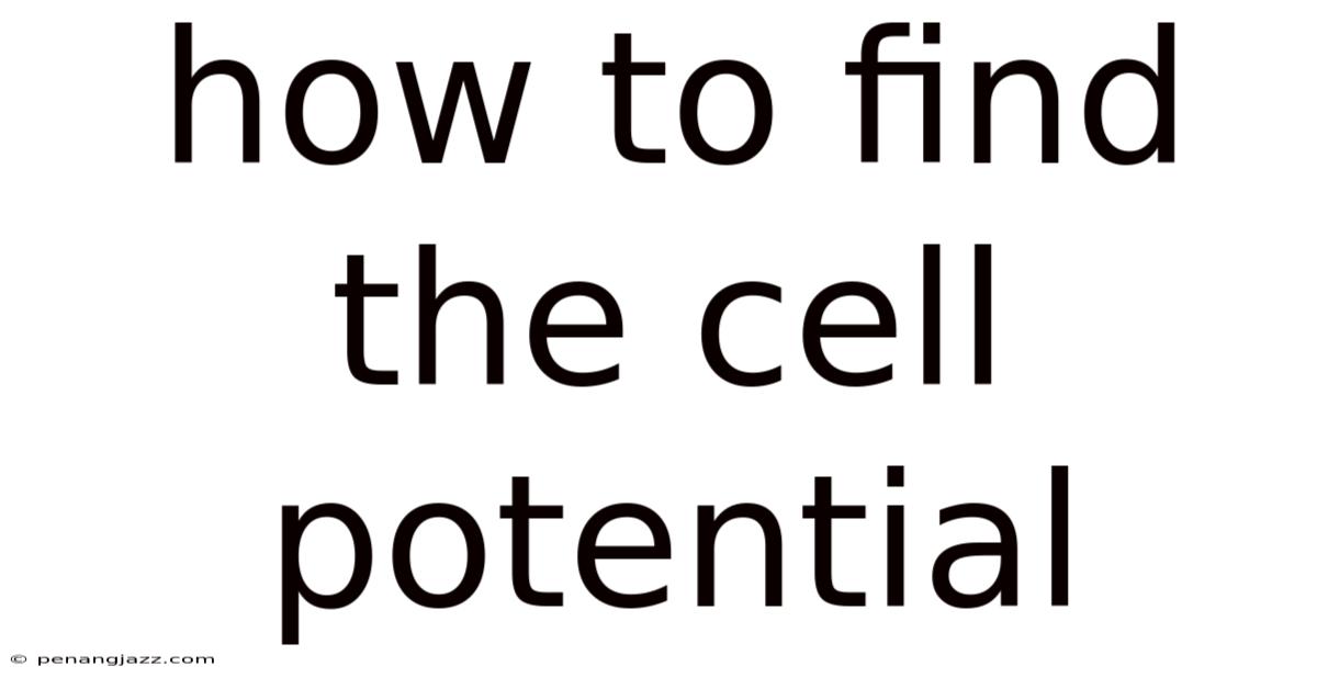 How To Find The Cell Potential