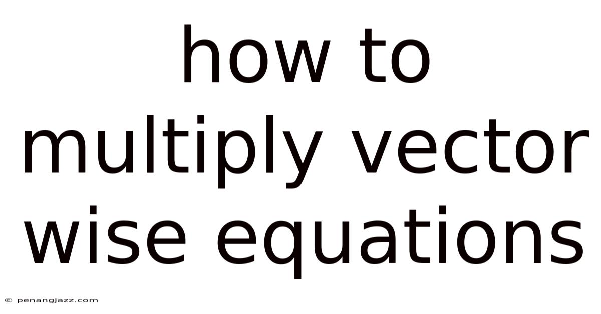 How To Multiply Vector Wise Equations