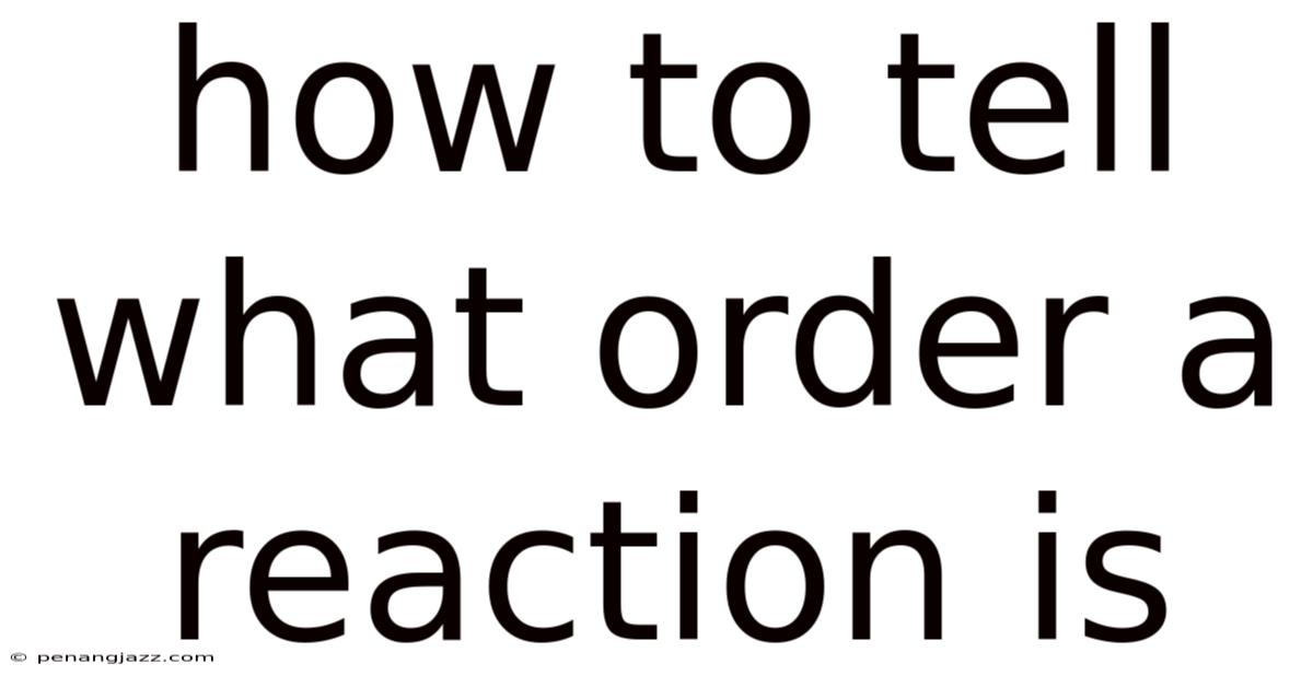How To Tell What Order A Reaction Is