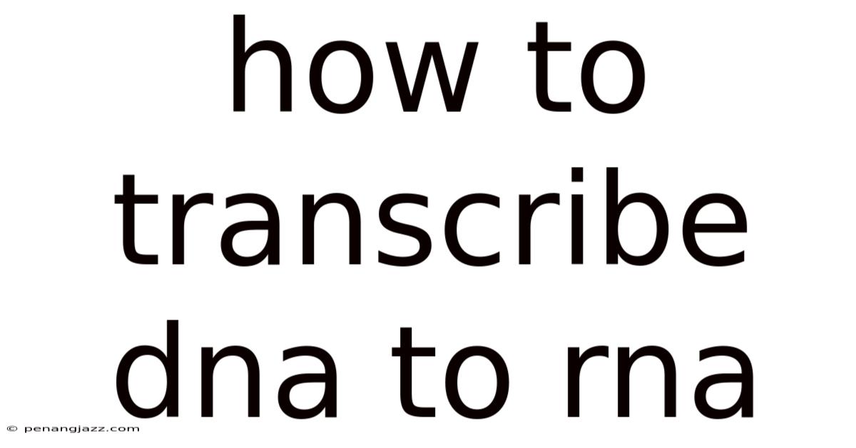 How To Transcribe Dna To Rna